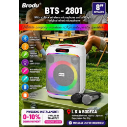 BOXA PORTABILA BTS2801 8INCH