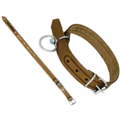 Zgarda caine din piele de (2CMx40CM)-Nr.298 Zgarda caine din piele de (2CMx40CM)-Nr.298