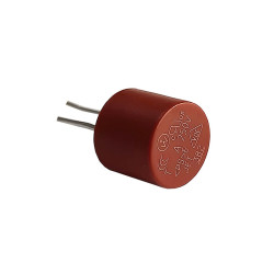 Siguranta cu intarziere 2.5A TR5