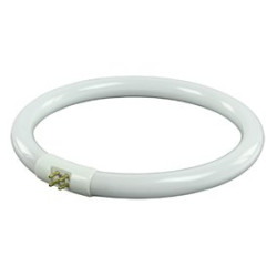 Neon lampa cu lupa mare Neon lampa cu lupa mare