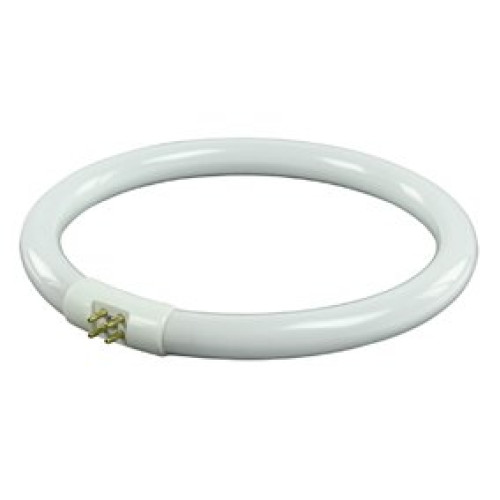 Neon lampa cu lupa mare