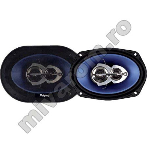 Set 2 dif auto 6x9 py694