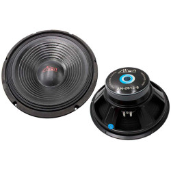 Difuzor 12inch Alien AN-2612 4ohm Difuzor 12inch Alien AN-2612 4ohm