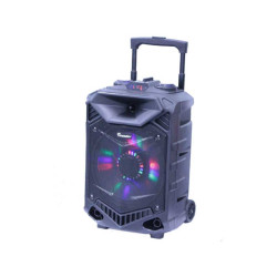 Incinta activa 12inch ABS USB/SD/FM/BT/ACCU Thunder Incinta activa 12inch ABS USB/SD/FM/BT/ACCU Thunder