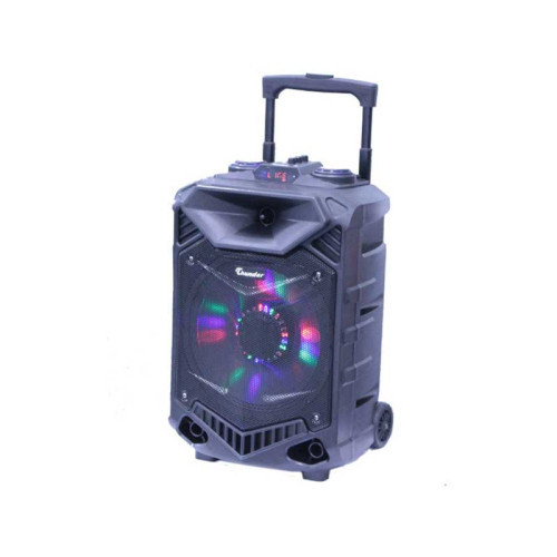 Incinta activa 12inch ABS USB/SD/FM/BT/ACCU Thunder Incinta activa 12inch ABS USB/SD/FM/BT/ACCU Thunder