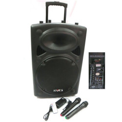 Incinta acustica 15inch ABS MP3+2microfoane Incinta acustica 15inch ABS MP3+2microfoane