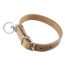 Zgarda caine din piele de (2.5CMx50CM)-Nr.291 Zgarda caine din piele de (2.5CMx50CM)-Nr.291